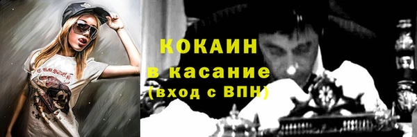шишки Бронницы