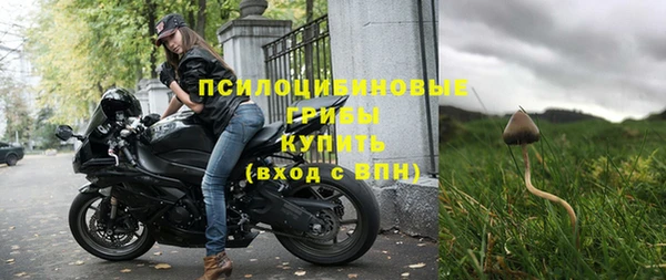 трава Верея